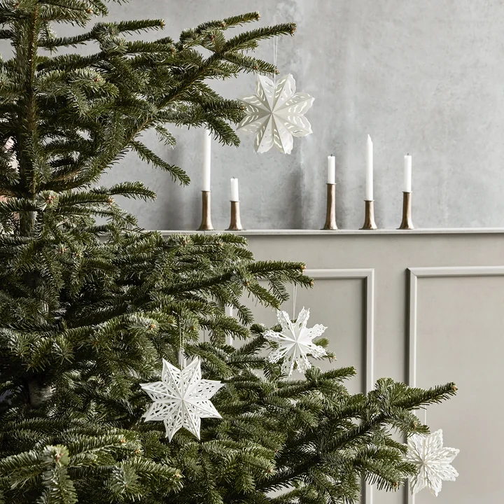 Snowflake from House Doctor