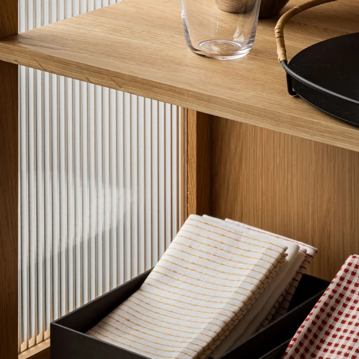 Audo - Curiosity Display case