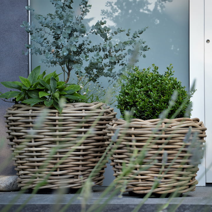 Jan Kurtz - Palau Basket, natural rattan