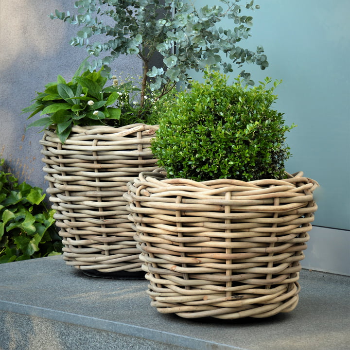 Jan Kurtz - Palau Basket, natural rattan