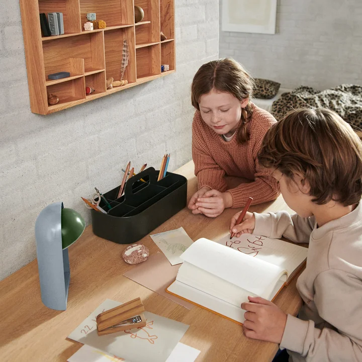 Hope Storage caddy from LIEWOOD