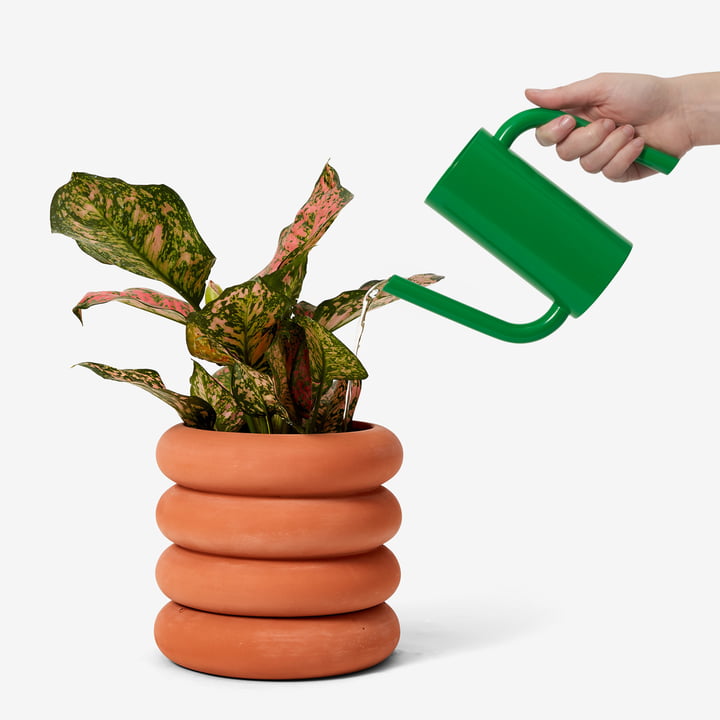 Tango Watering can from Areaware