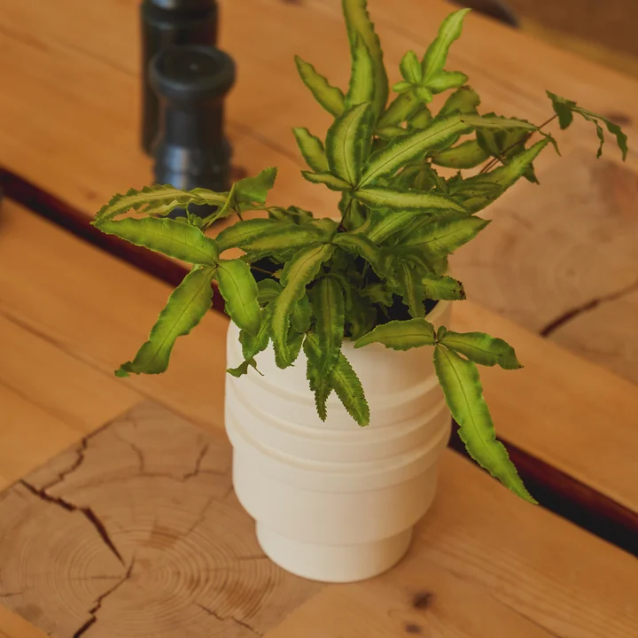 Strata Flower pot from Areaware