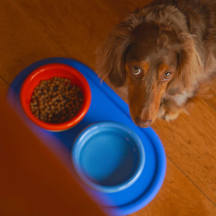 Every Fressnapf & Pet food container from Areaware