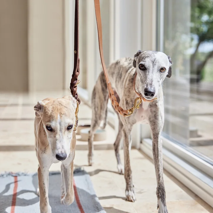 OYOY ZOO - Robin dog leash