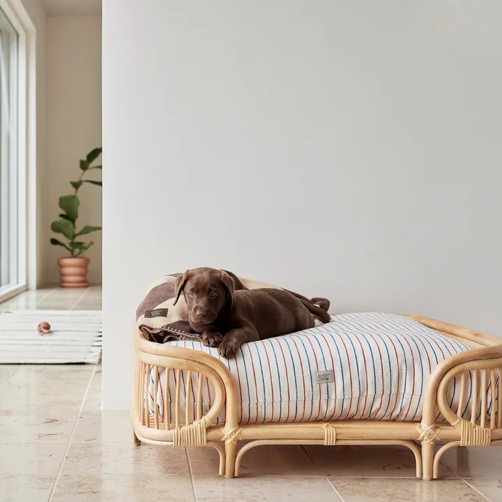 OYOY ZOO - Otto Dog bed