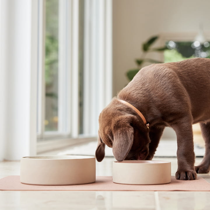 OYOY ZOO - Sia dog bowl