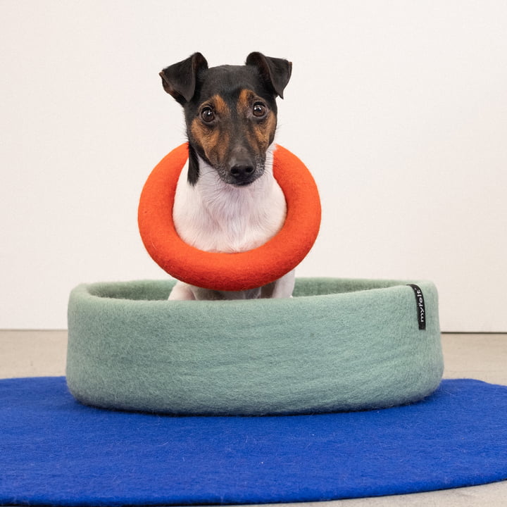 Fine dog basket, inlay royal blue from myfelt