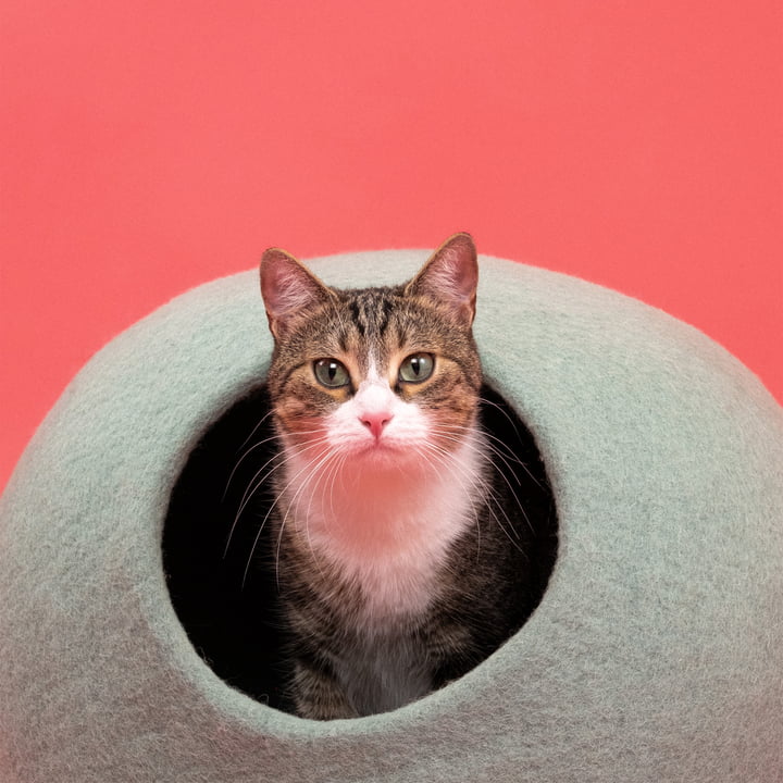 Fine cat cave, turquoise from myfelt