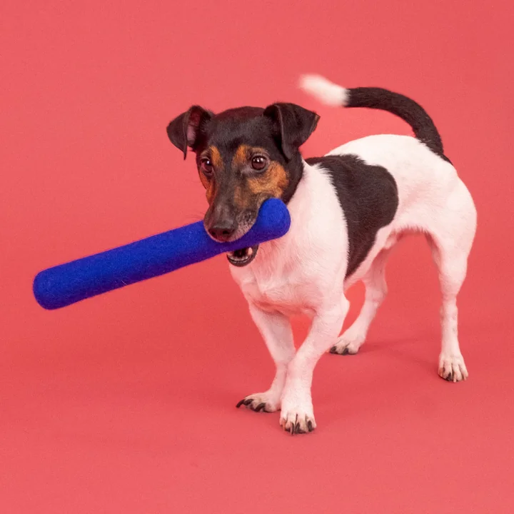 Isa Dog toy, stick, royal blue from myfelt