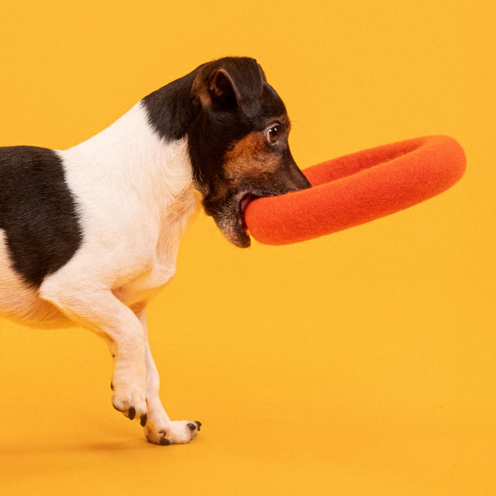 Mats Dog toy, ring, red-orange from myfelt