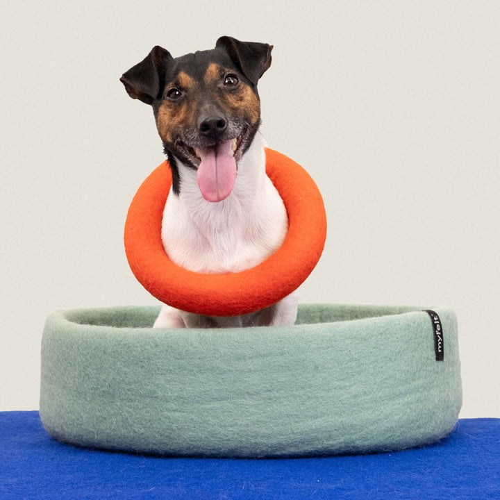 Mats Dog toy, ring, red-orange from myfelt