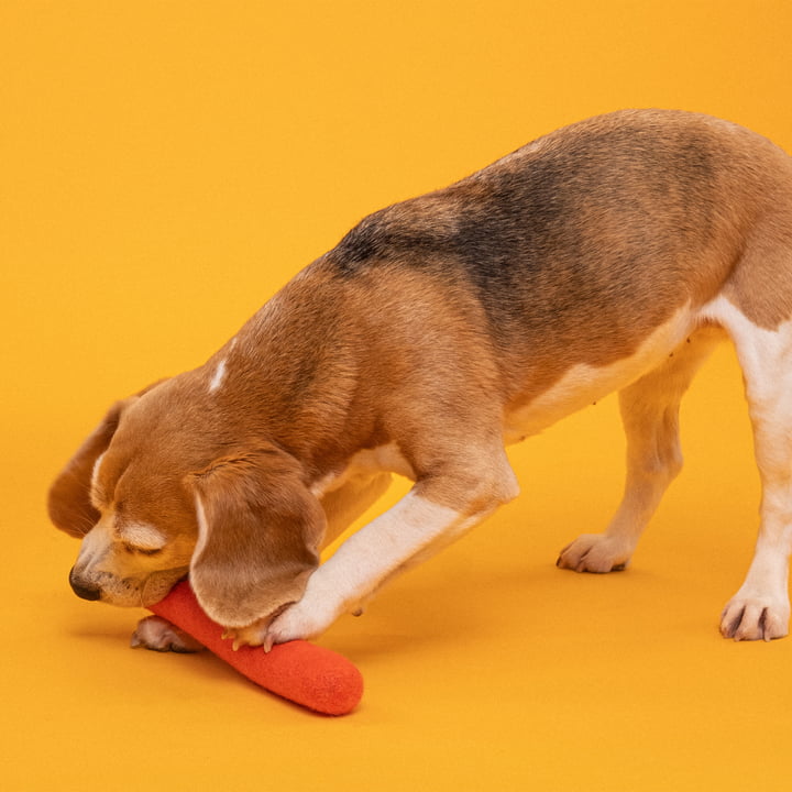 Mats Dog toy, stick, red-orange from myfelt