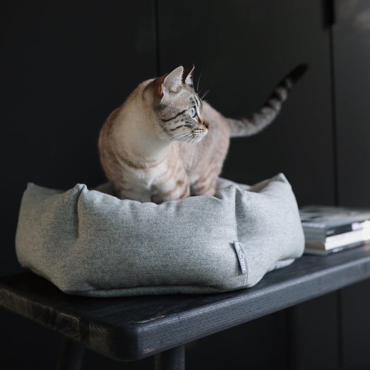 Calma Hexagon cat bed from MiaCara