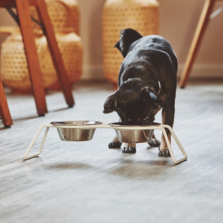 Cena Bowl stand from MiaCara