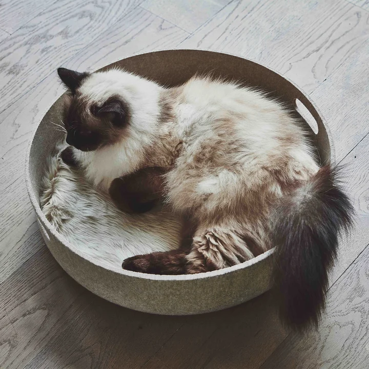 Cesto Cat basket from MiaCara