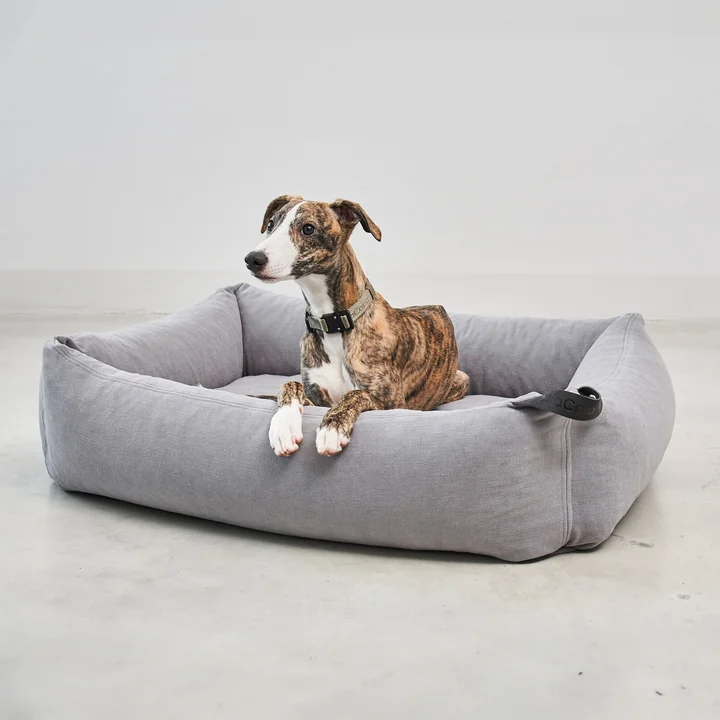 Comodo Dog bed from MiaCara