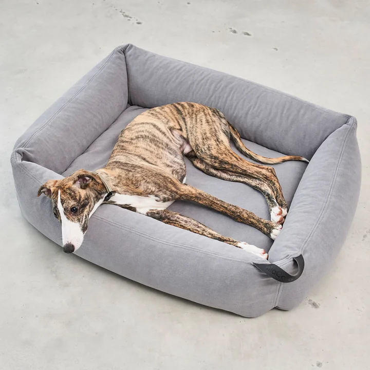 Comodo Dog bed from MiaCara