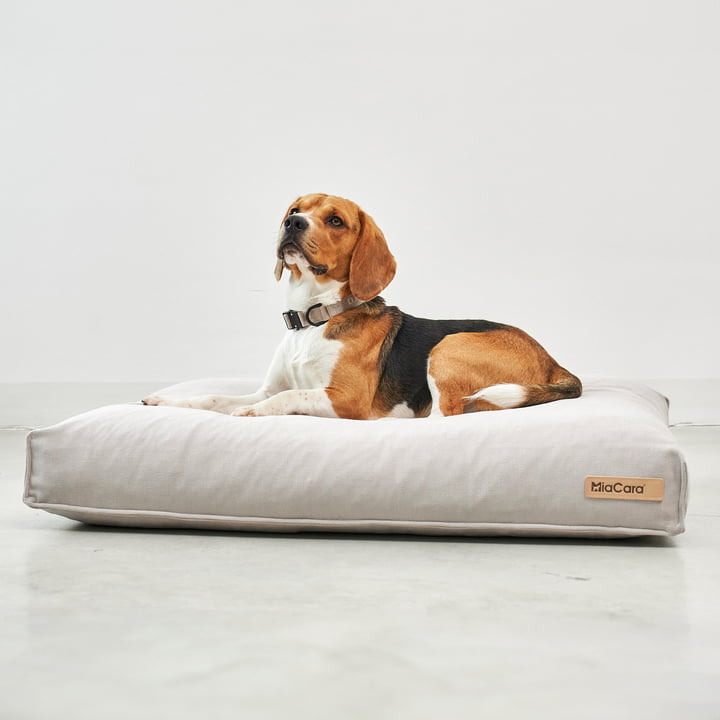 Comodo Dog cushion from MiaCara