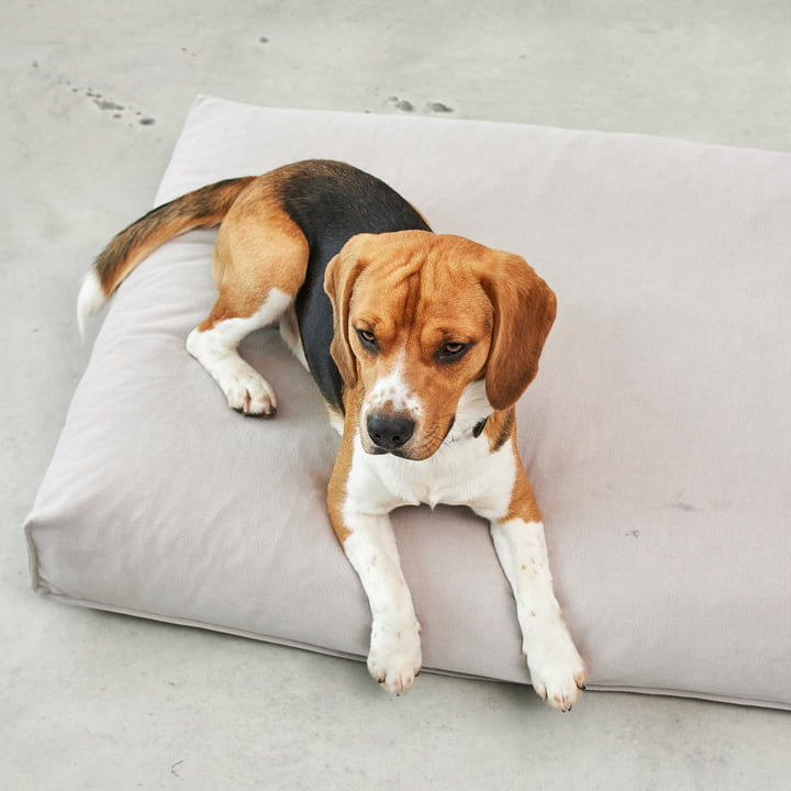 Comodo Dog cushion from MiaCara