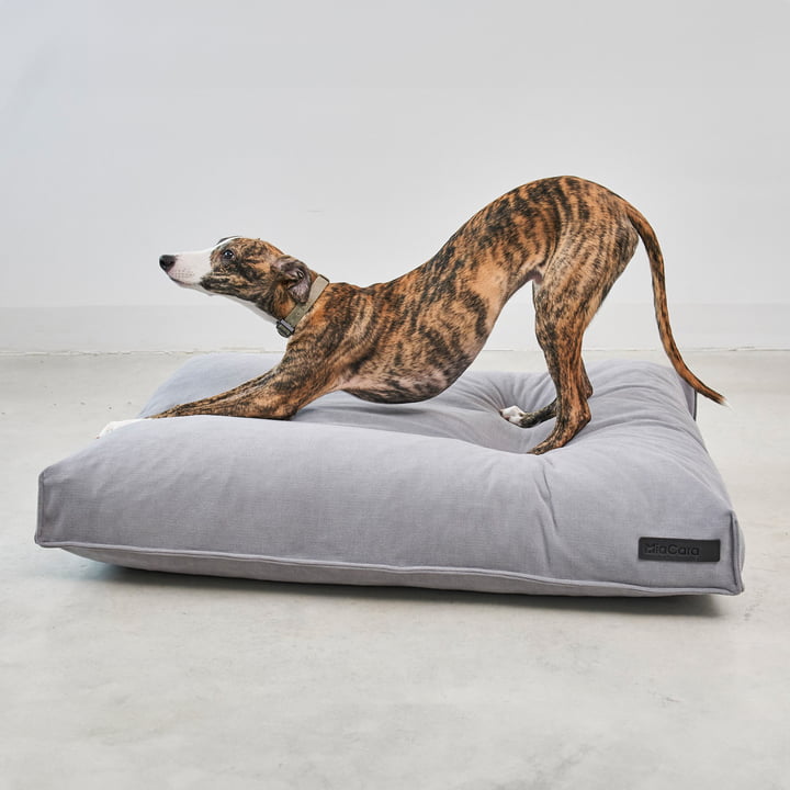 Comodo Dog cushion from MiaCara