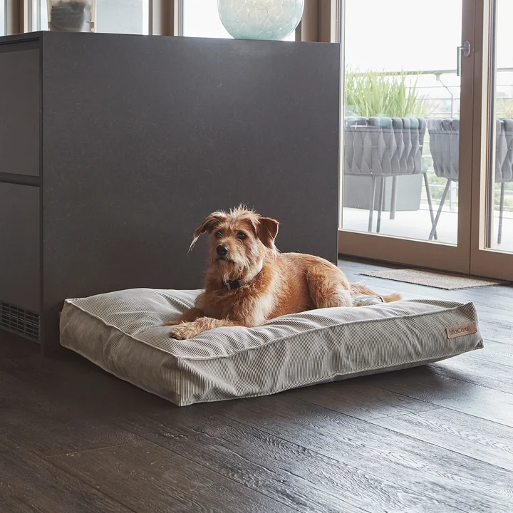 Cordo Dog cushion from MiaCara
