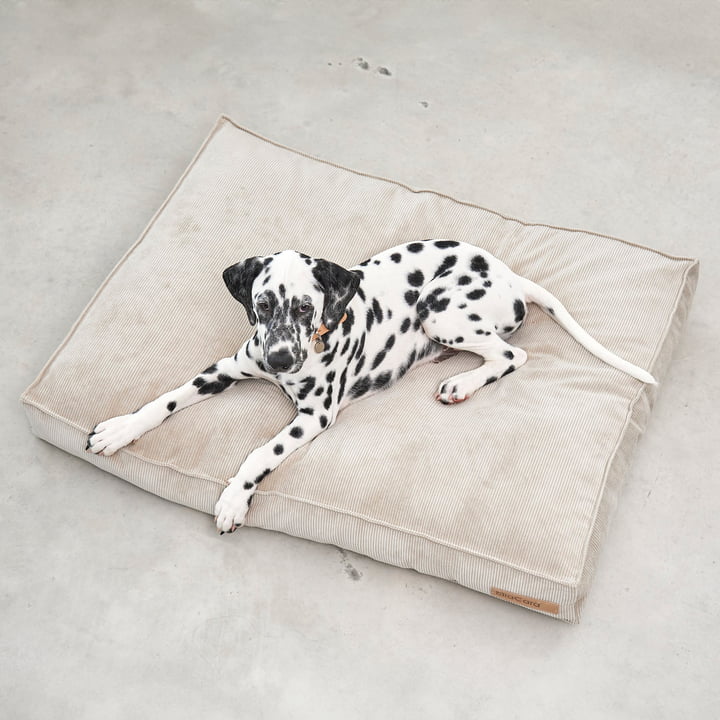 Cordo Dog cushion from MiaCara