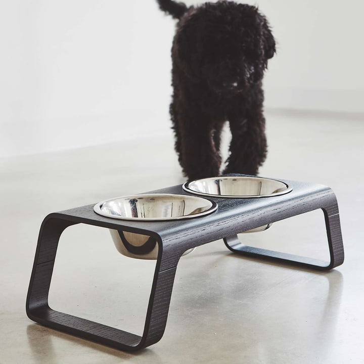 Desco Dog bowl stand with stainless steel bowls from MiaCara