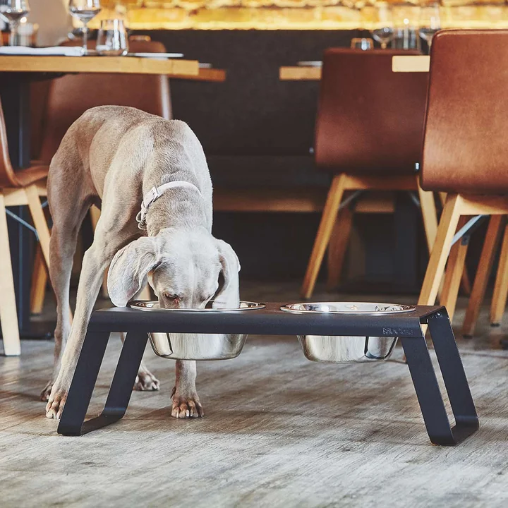 Desco Dog bowl stand with stainless steel bowls from MiaCara