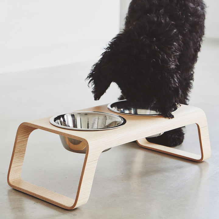 Desco Dog bowl stand with stainless steel bowls from MiaCara