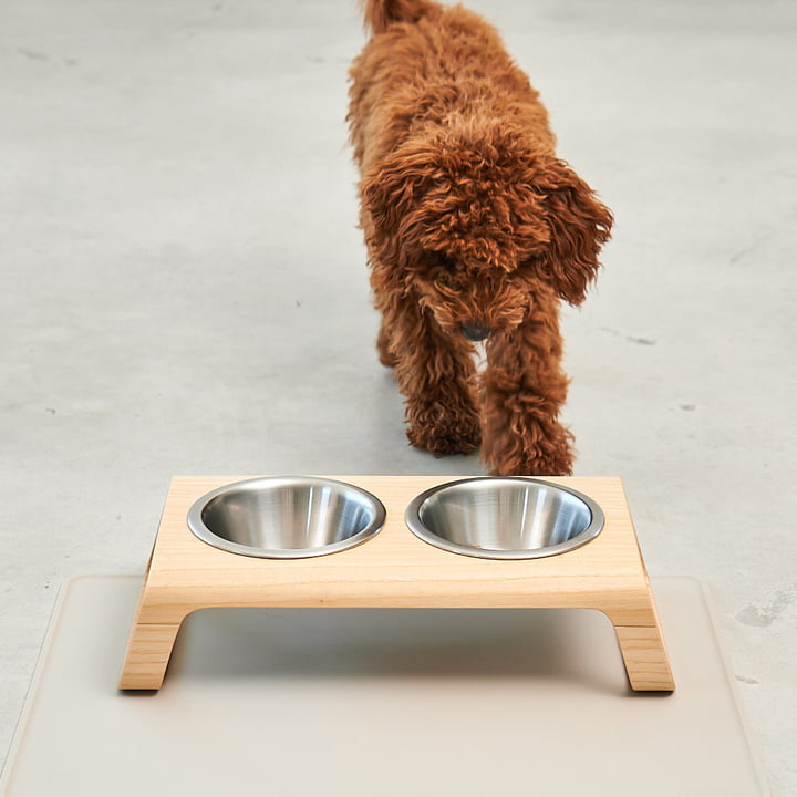 Desco Dog bowl stand with stainless steel bowls from MiaCara