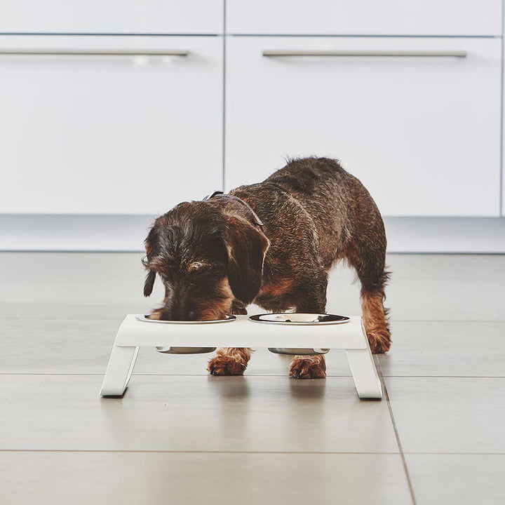 Desco Dog bowl stand with stainless steel bowls from MiaCara