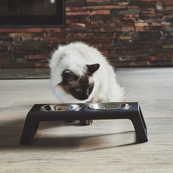 Desco Cat bowl stand with stainless steel bowls from MiaCara