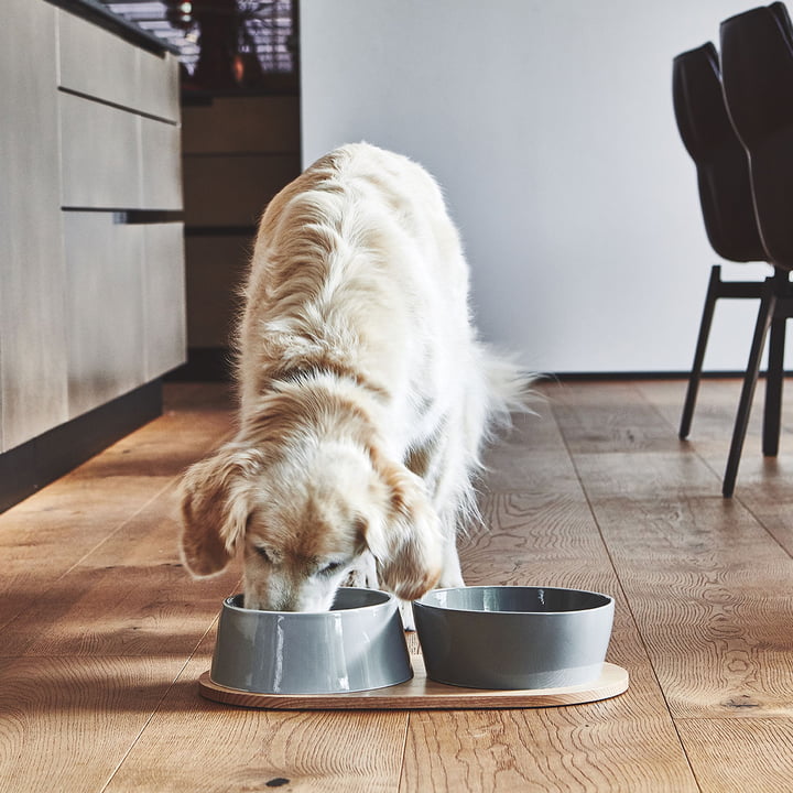 Doppio dog bowl set with wooden tray from MiaCara