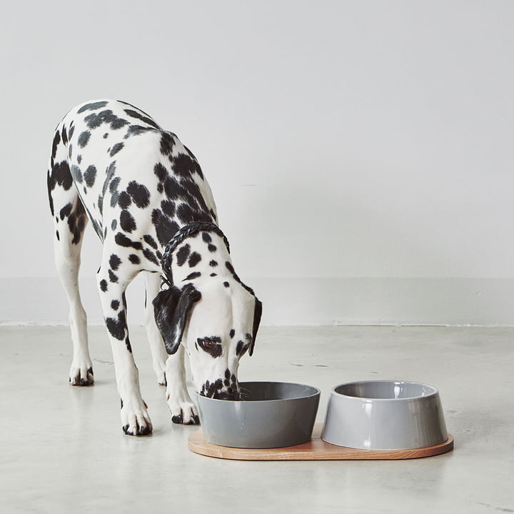 Doppio dog bowl set with wooden tray from MiaCara