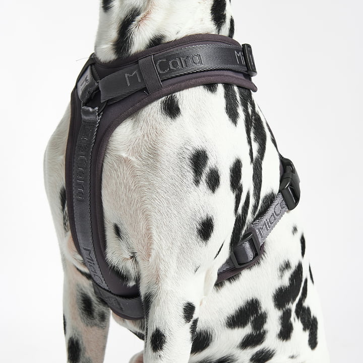 MiaCara - Modena Harness M, asphalt