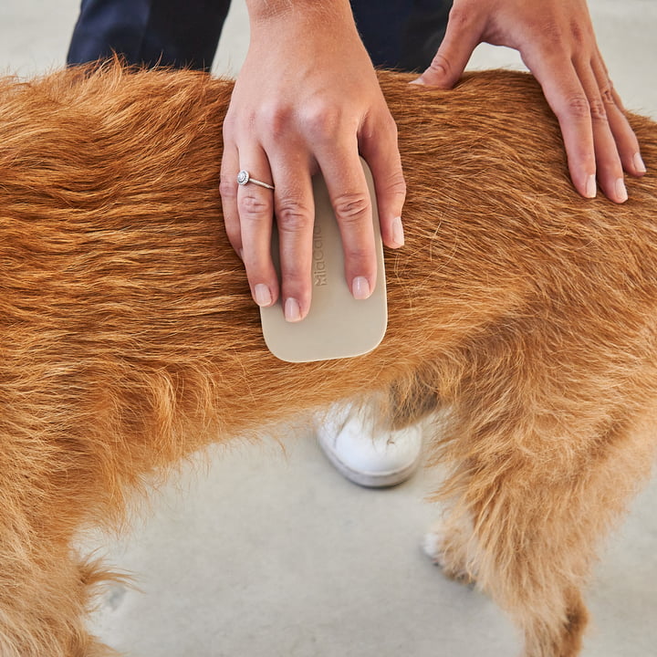 Pelo Dog brush from MiaCara