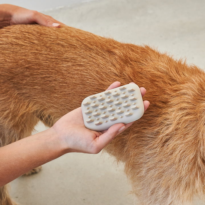 Pelo Dog brush from MiaCara