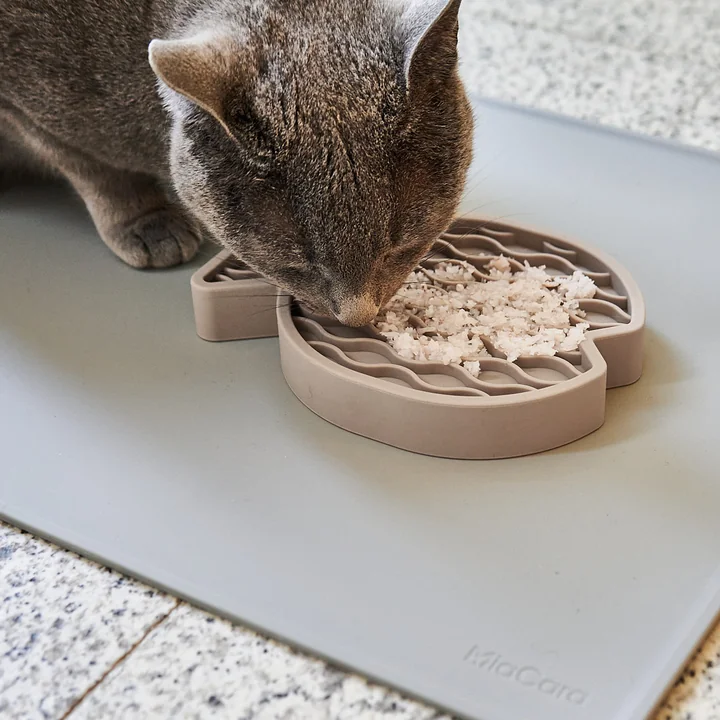 Pesce Activity toys from MiaCara