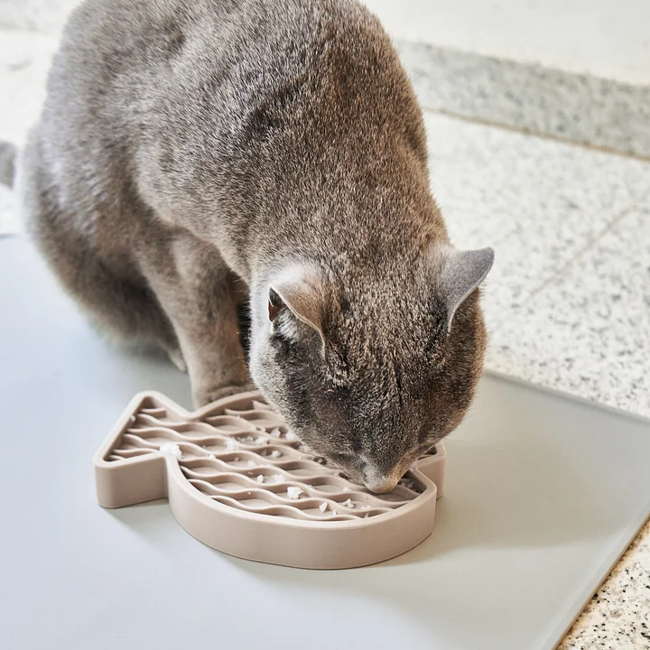 Pesce Activity toys from MiaCara