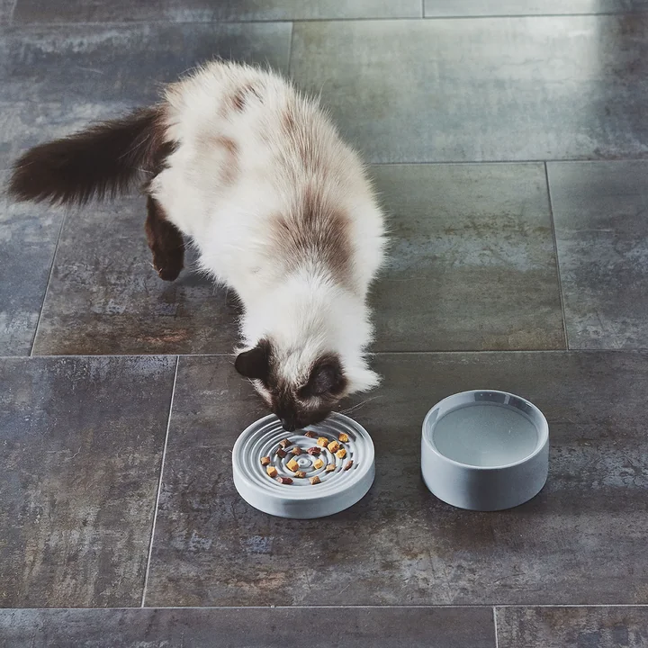 Piatto and Fresco Cat bowl S from MiaCara