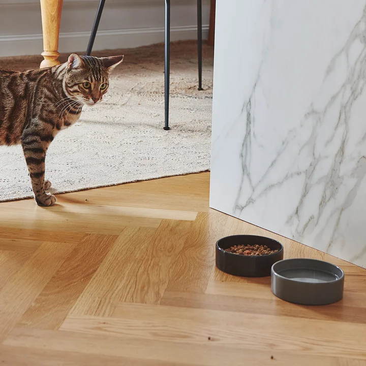 Scodella cat bowl from MiaCara