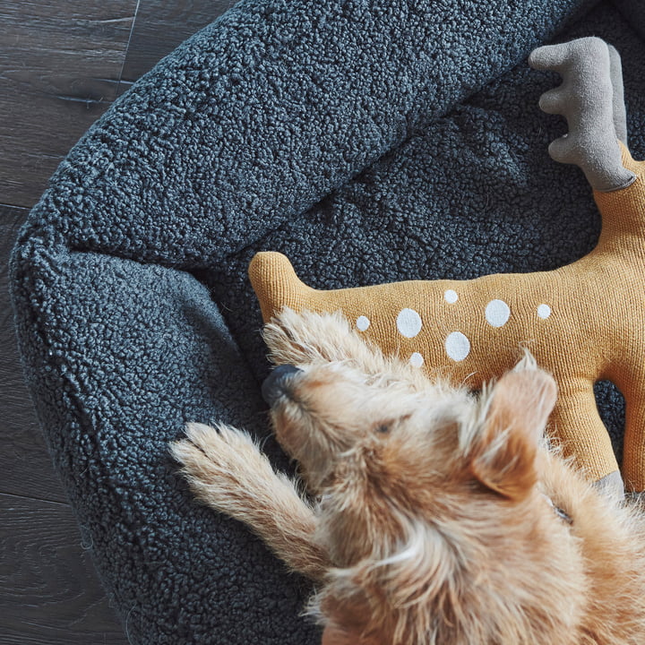 Senso Dog bed from MiaCara