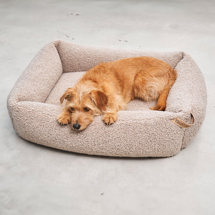 Senso Dog bed from MiaCara