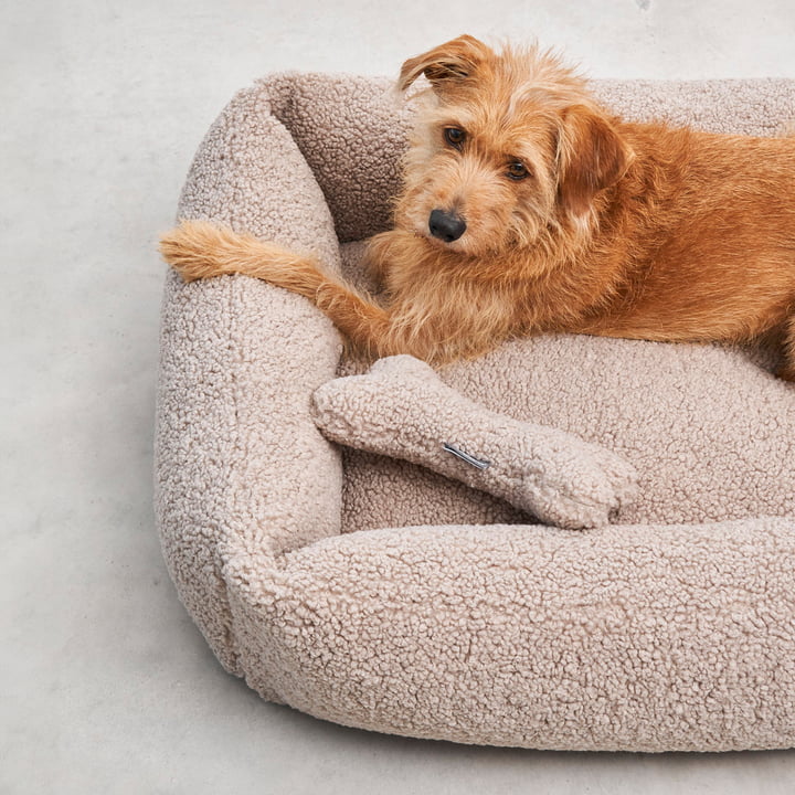 Senso Dog bed from MiaCara