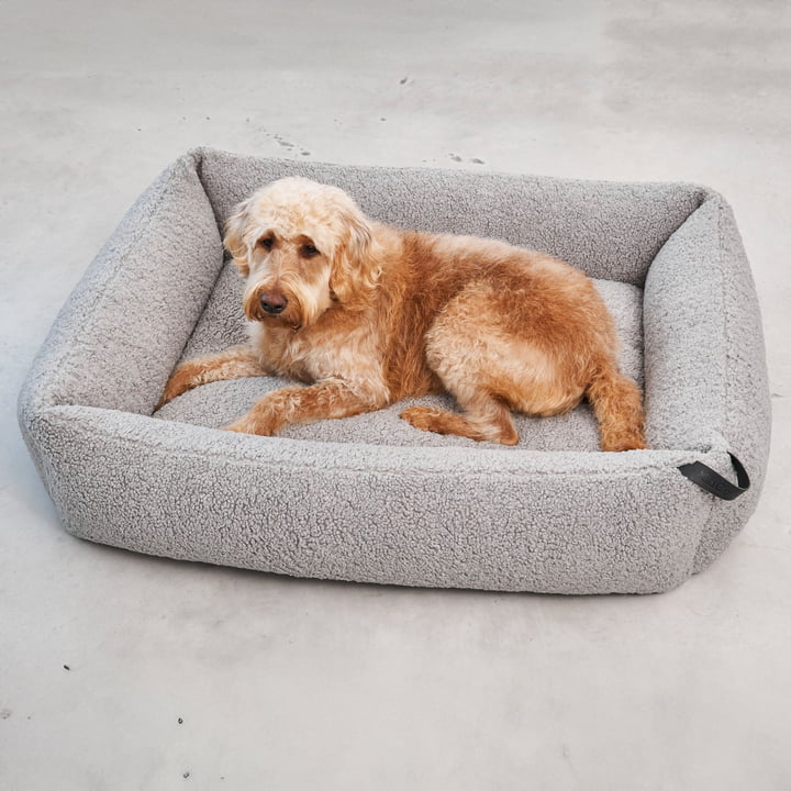 Senso Dog bed from MiaCara