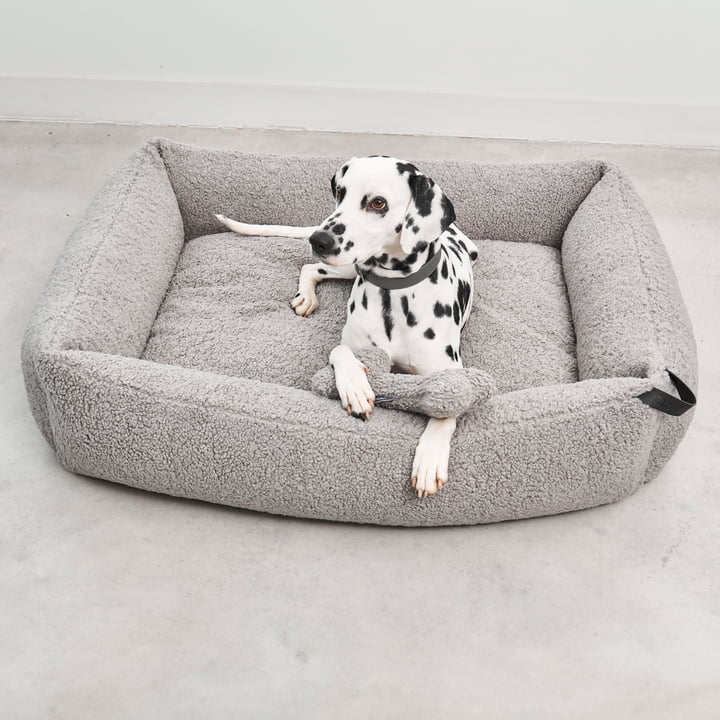 Senso Dog bed from MiaCara