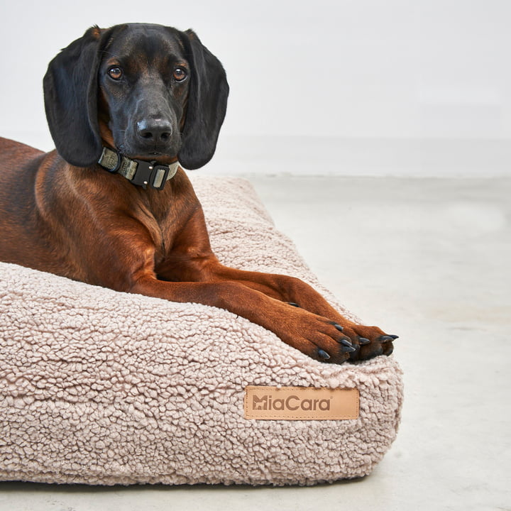 Senso Dog cushion from MiaCara