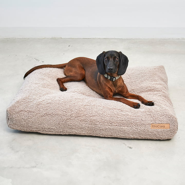 Senso Dog cushion from MiaCara