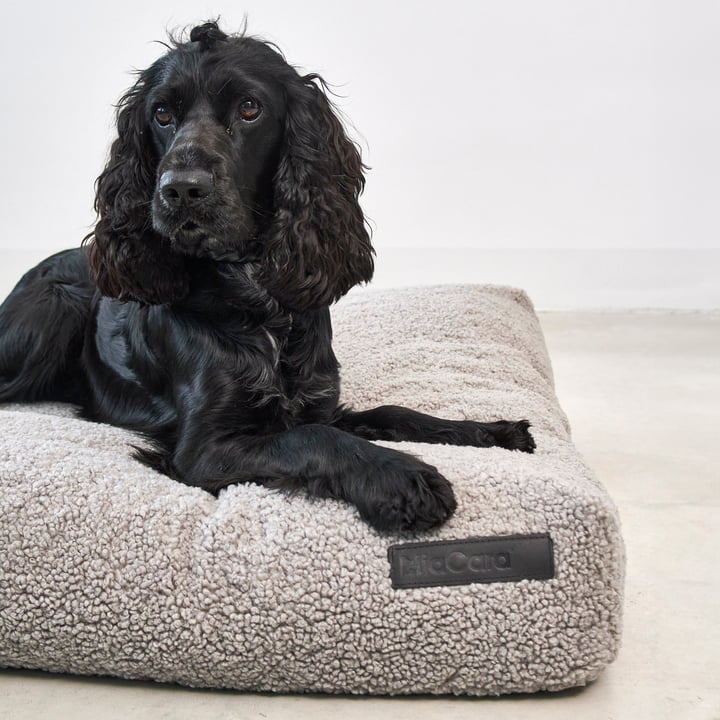 Senso Dog cushion from MiaCara